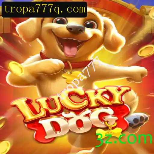 Desvendando o Jogo 'LuckyDog': Estratégia e Emoção